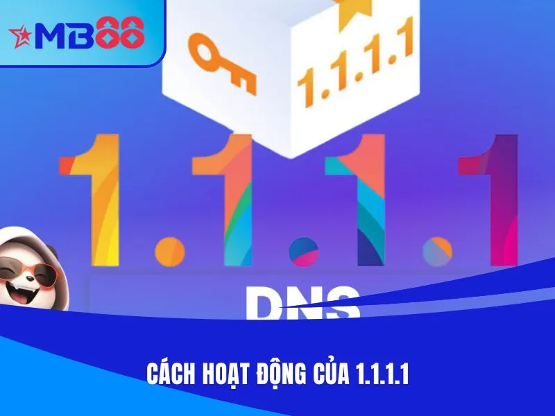 1.1.1.1 hoạt động như một DNS Resolver