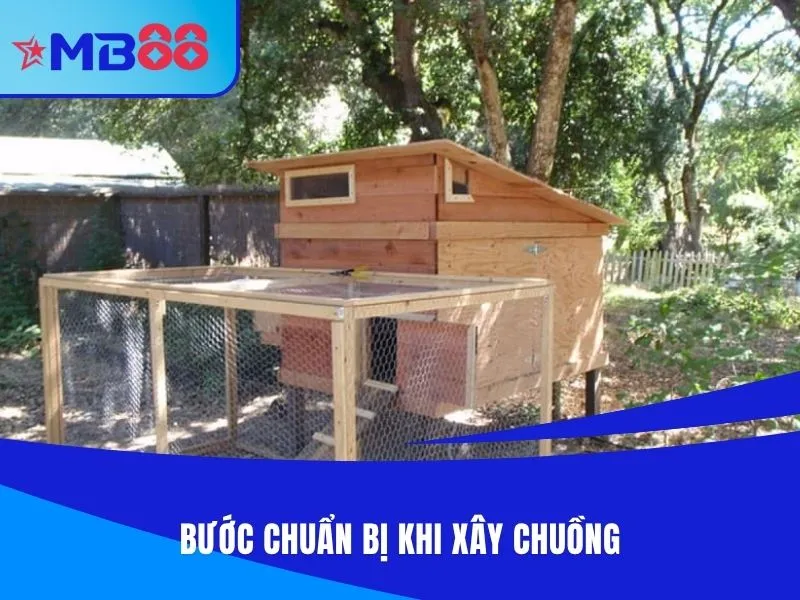 Bước chuẩn bị khi xây chuồng