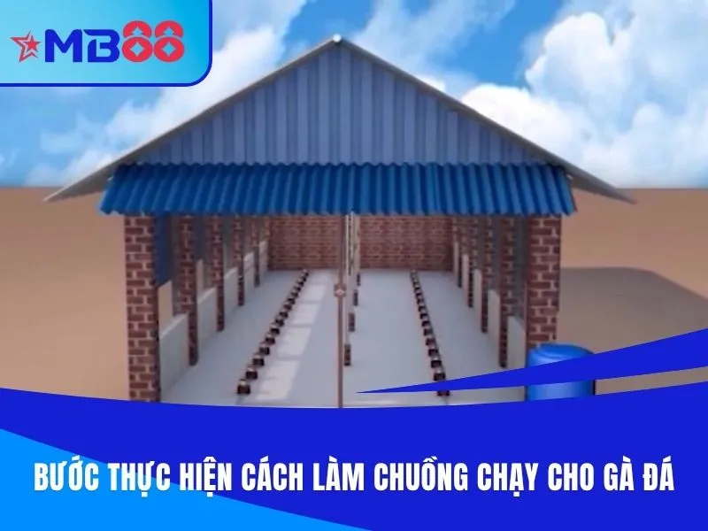 Bước thực hiện trong cách làm chuồng chạy cho gà đá