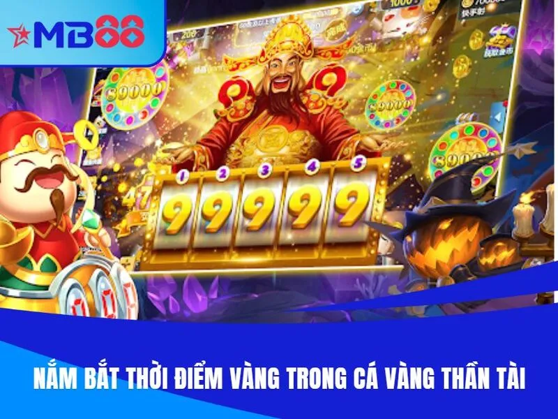 Nắm bắt thời điểm vàng trong cá vàng thần tài