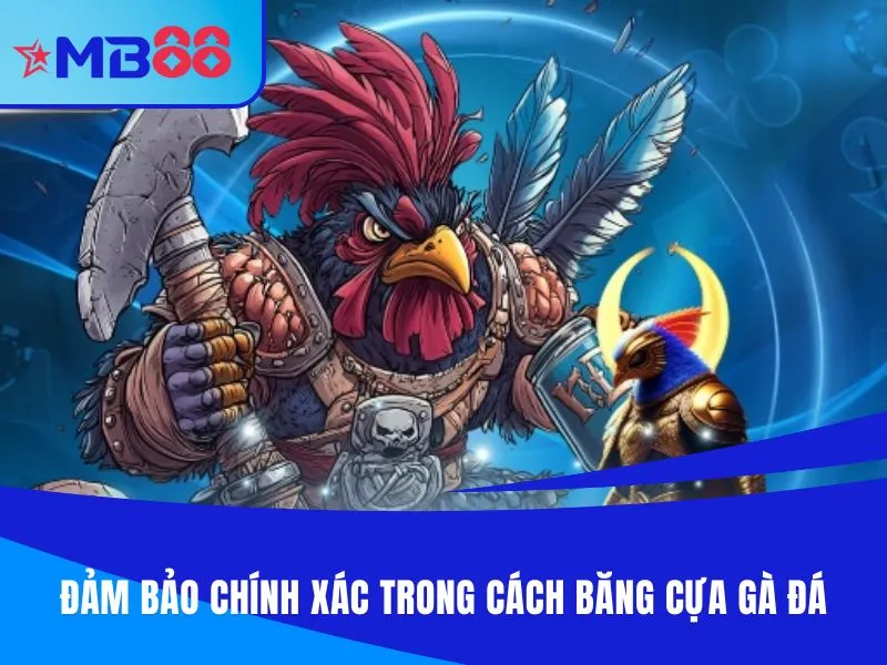 Đảm bảo chính xác trong cách băng cựa gà đá