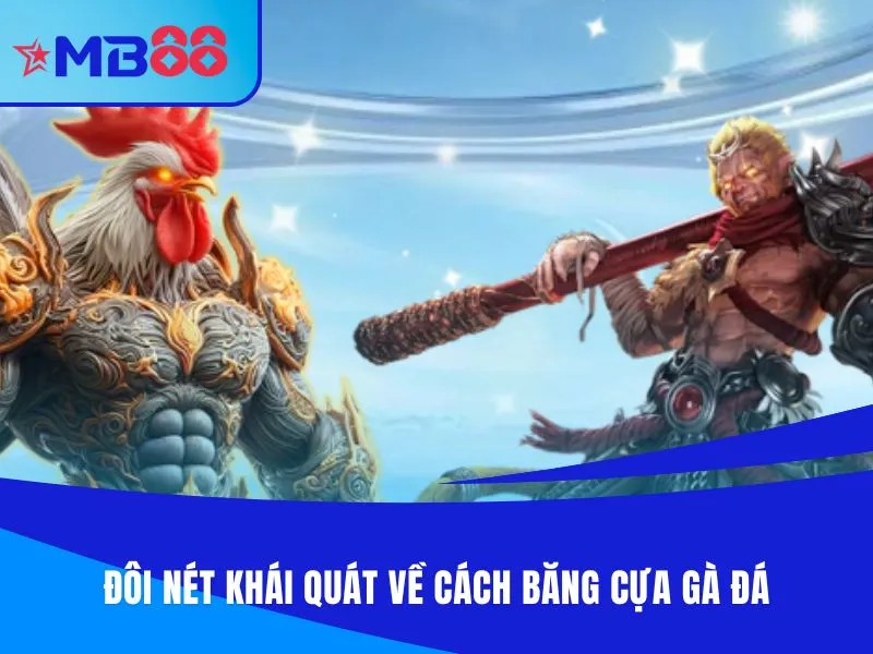 Đôi nét khái quát về cách băng cựa gà đá