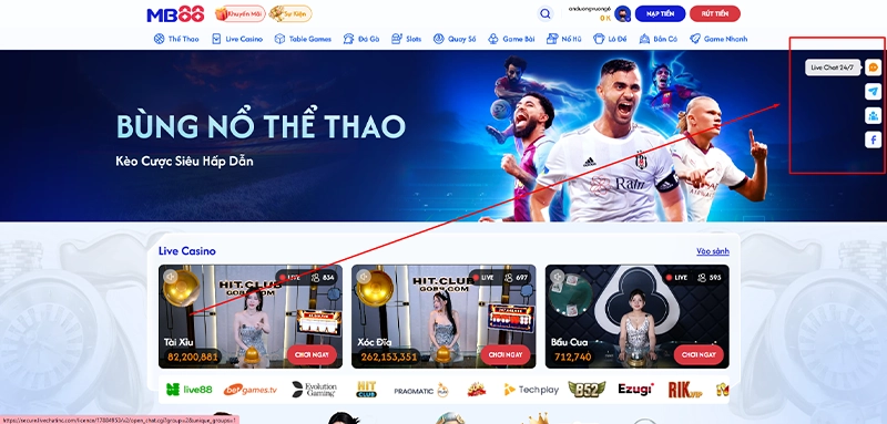 Những vấn đề và thắc mắc - Nhà cái giải đáp 24/7