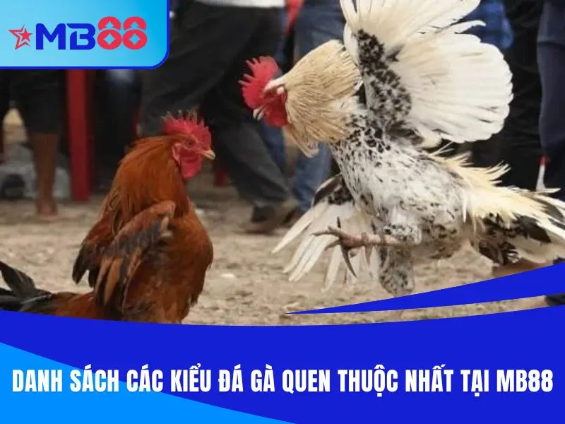 Danh sách các kiểu đá gà quen thuộc nhất tại đá gà MB88