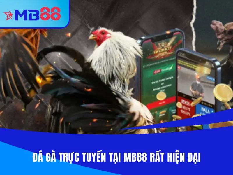 Đá gà MB88 trực tuyến rất hiện đại