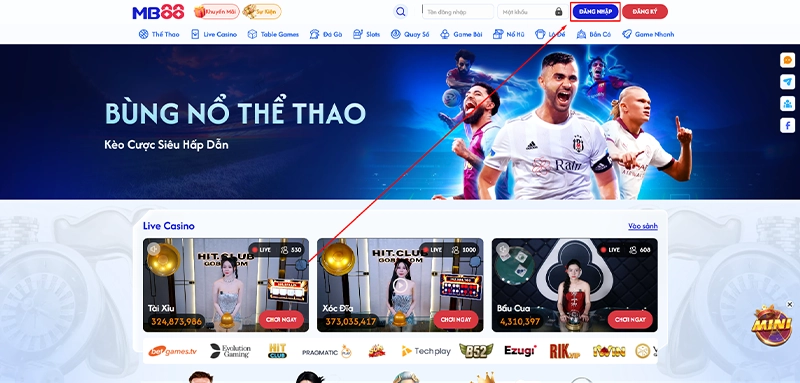 Đăng nhập và tham gia cá cược