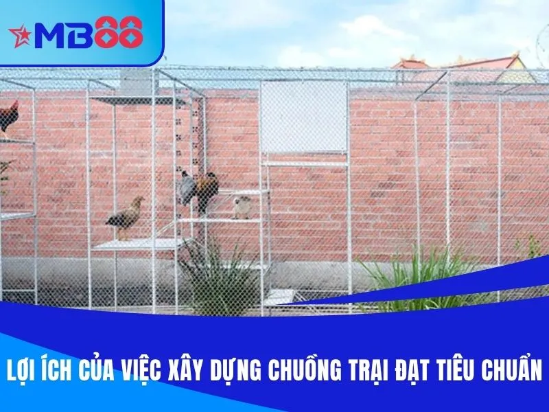 Lợi ích của việc xây dựng chuồng trại đạt tiêu chuẩn