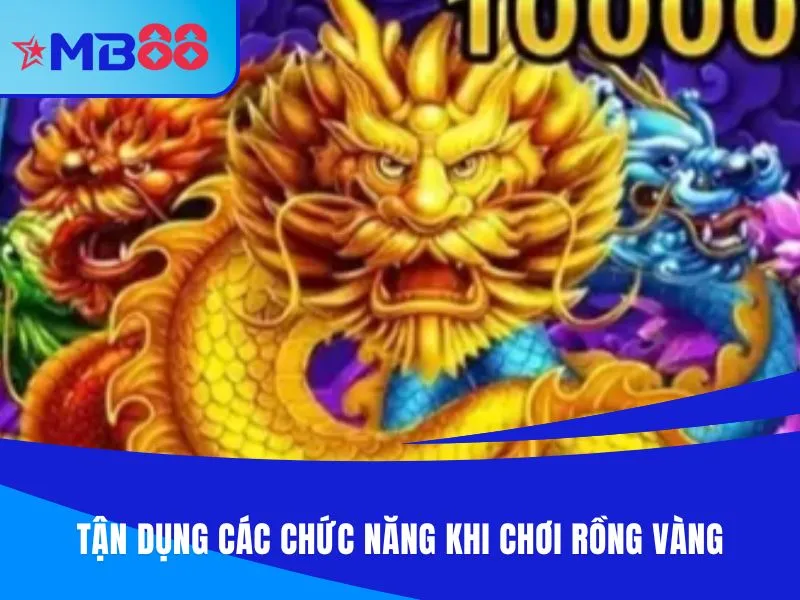Tận dụng các chức năng khi chơi Rồng Vàng
